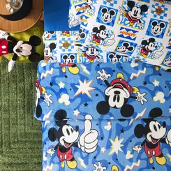 Manta Infantil Flannel Microfibra Personagens Disney Andreza