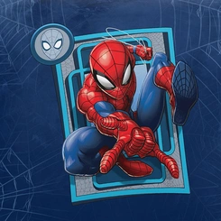 Almofada Decorativa Estampas da Disney Homem Aranha