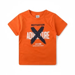 Camiseta Bebê Menino Estampada Arrumadinhos