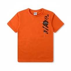 Camiseta Infantil Menino Estampada Arrumadinhos