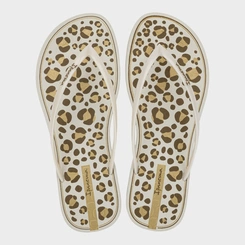Chinelo Feminino Ipanema Anatômico mood