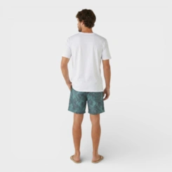 Bermuda Masculina Shorts Masculino Estampada Para Verão Praia Piscina Costa Boy