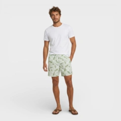 Bermuda Masculina Shorts Masculino Estampada Para Verão Praia Piscina Costa Boy