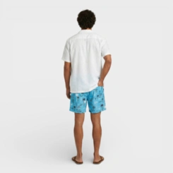 Bermuda Masculina Shorts Masculino Estampada Para Verão Praia Piscina Costa Boy