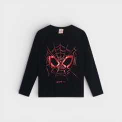 Blusa Manga Longa Menino Homem Aranha Brandili