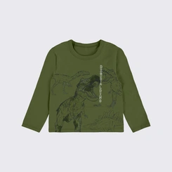 Camiseta Infantil Menino Manga Longa Dinossauro Upalôo