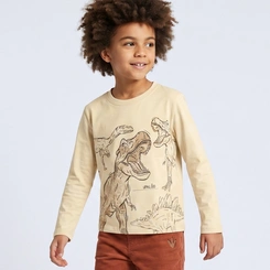 Camiseta Infantil Menino Manga Longa Dinossauro Upalôo
