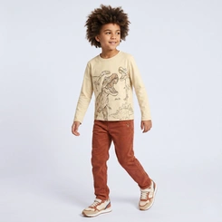 Camiseta Infantil Menino Manga Longa Dinossauro Upalôo