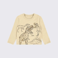 Camiseta Infantil Menino Manga Longa Dinossauro Upalôo